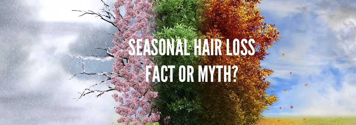 Four seasons in a photo. Seasonal hair loss, also known as telogen effluvium.