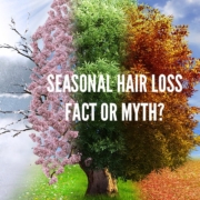 Four seasons in a photo. Seasonal hair loss, also known as telogen effluvium.