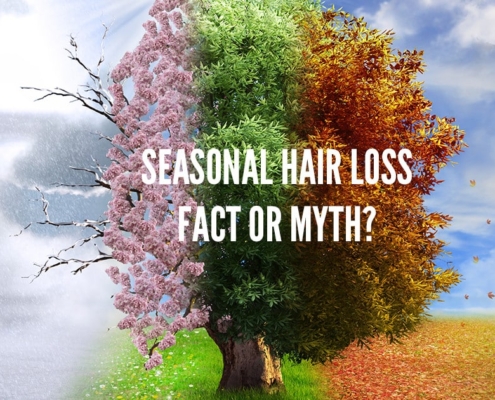 Four seasons in a photo. Seasonal hair loss, also known as telogen effluvium.