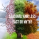 Four seasons in a photo. Seasonal hair loss, also known as telogen effluvium.