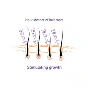 Nourishment of hair roots