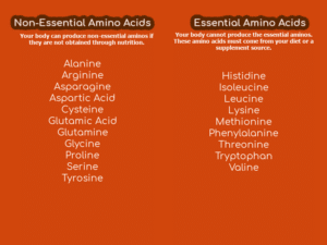 Non-Essential & Essential Amino Acids