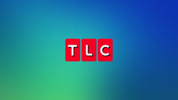 The "Bad Hair Day" logo on a TLC-blue background.